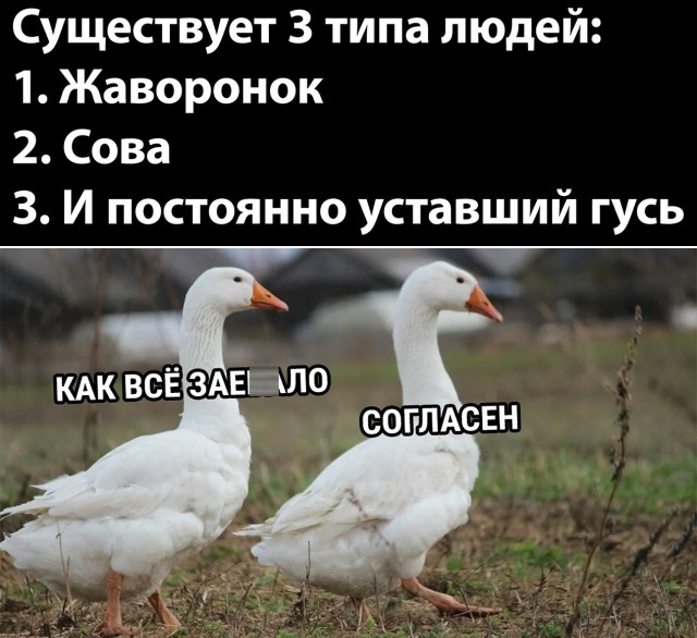 Так себе картинки 30.10.21
