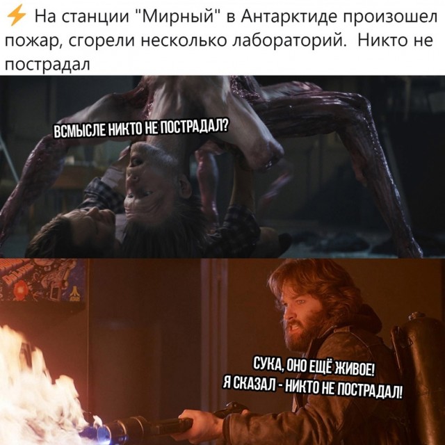 Весёлый полтишок 09.11