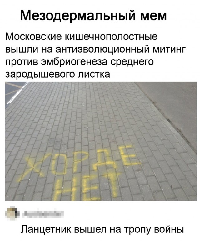 Пандемия. Коронавирус. Россия и мир. Последняя информация. Часть 26