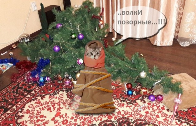 Фотожаба: Продавец рыбов