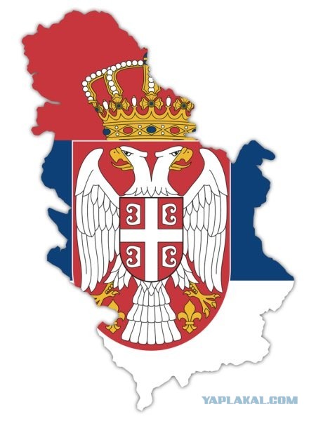 В Сербии послали НАТО к черту