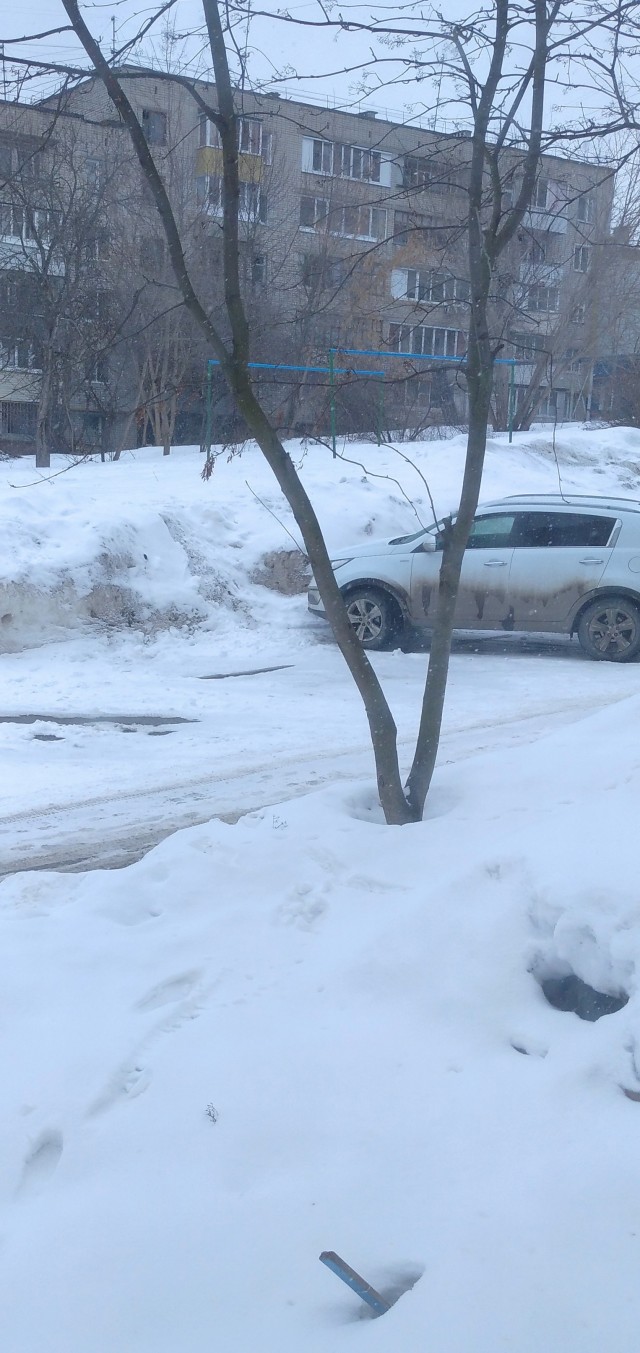 А какая у Вас сегодня весна за окном?!