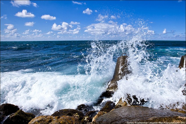 Чёрное море