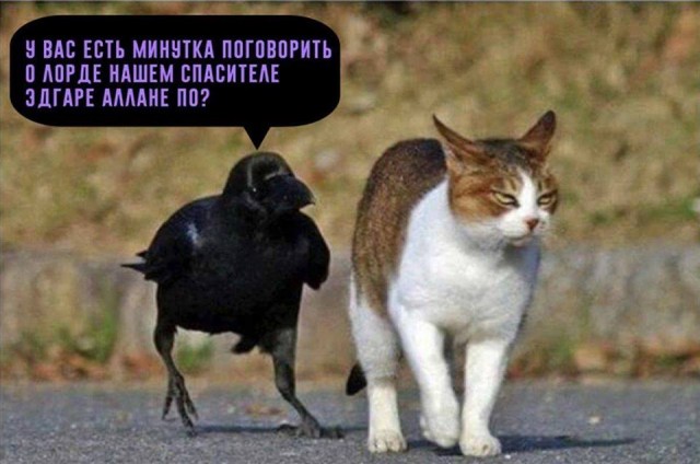 Пятница. Вечер. Картинки всякие... #6