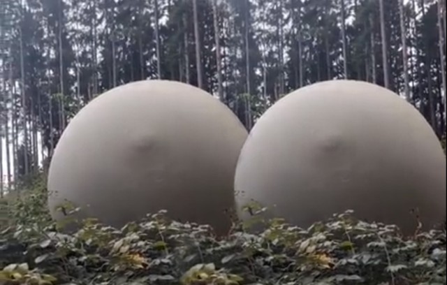 Что за хреновина?