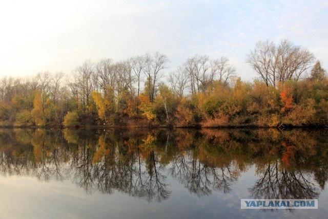 Поделимся красивыми фото с телефона?