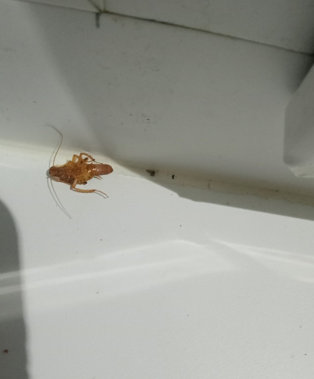 А когда этих приборов вы видели?