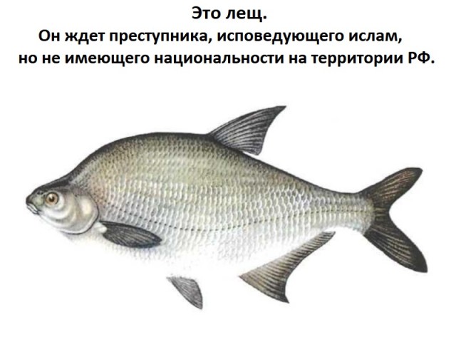 Дежавю