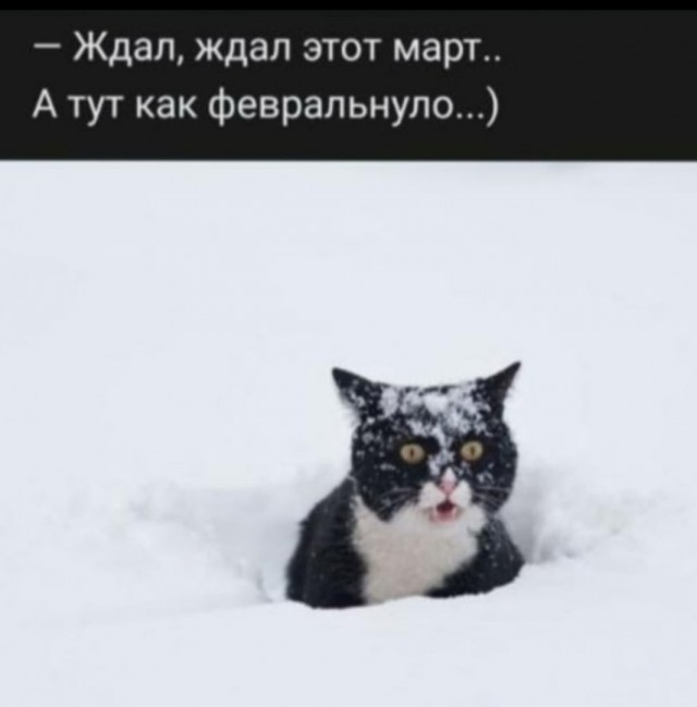Так себе картинки 07.04.23