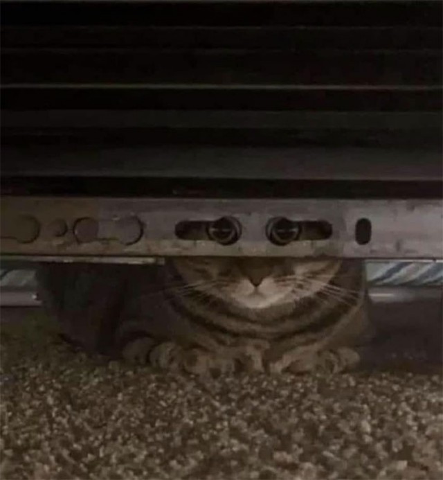 Удачный кадр