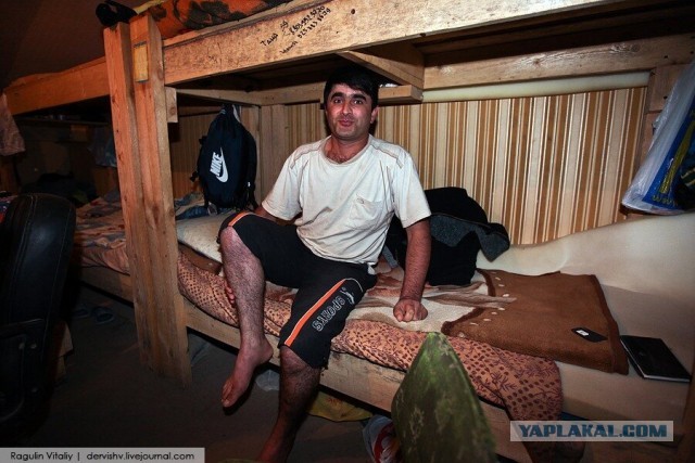 Пугающая статистика