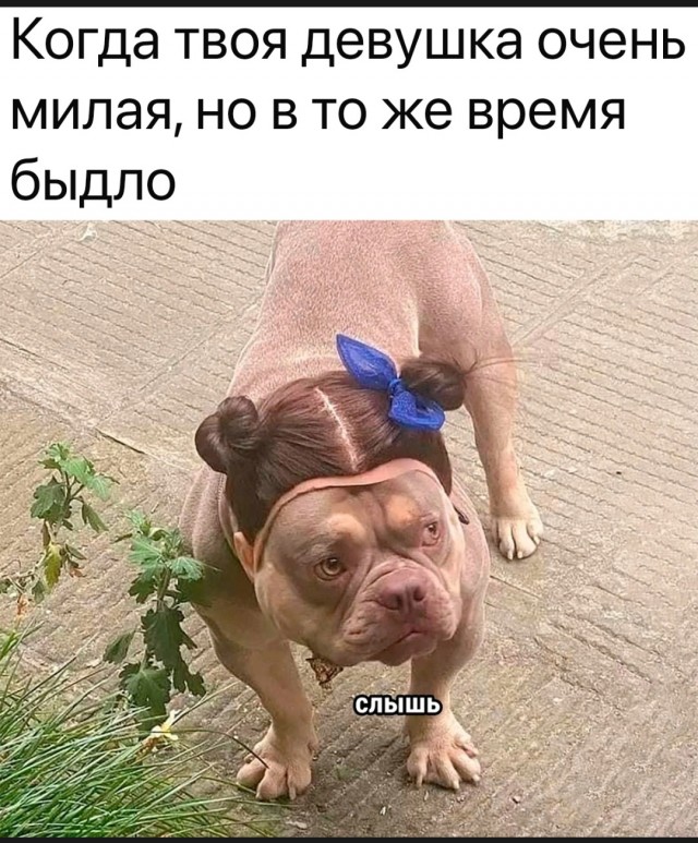 Почему холостая жизнь убивает мужчин