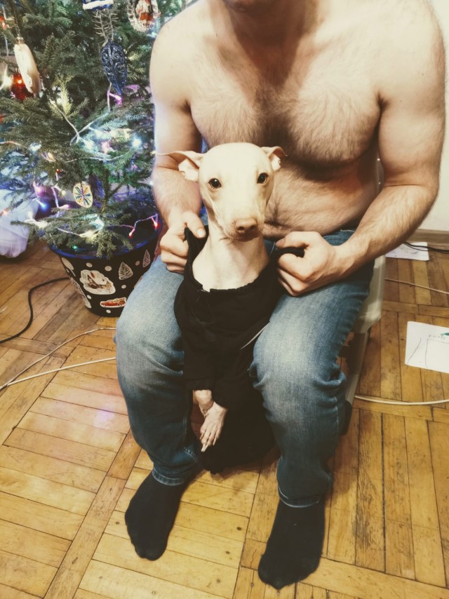 С Новым Годом, ЯПлакалъ!