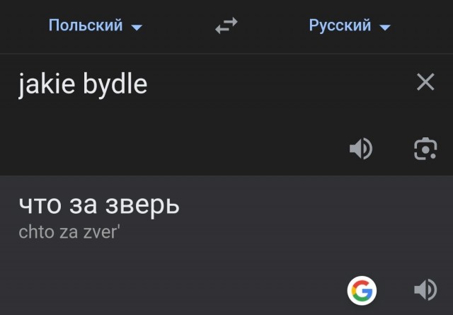 Король Бобр
