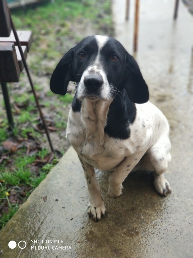 Девочка, которая не бросит