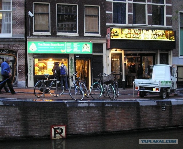 Амстердам. Кофешоппинг (26 фото)