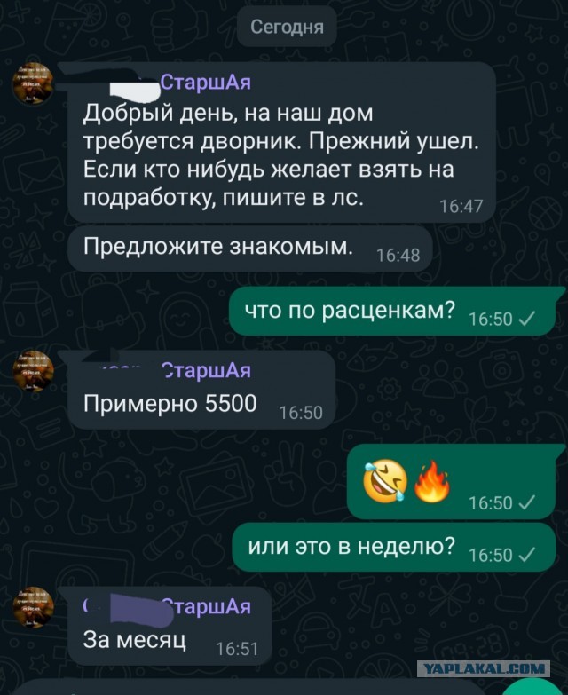 Загадка, почему сейчас практически нет дворников удачно разрешена.