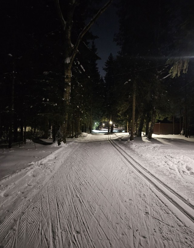Беговые лыжи