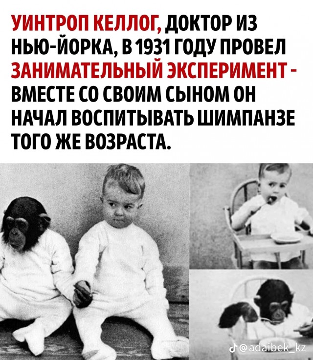 Про интеграцию в общество