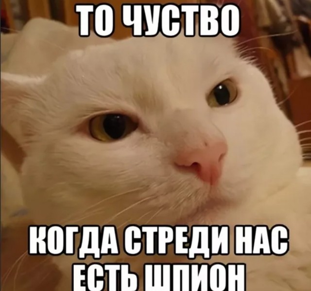 Дрон атаковал емкость для нефтепродуктов в кировском Котельниче