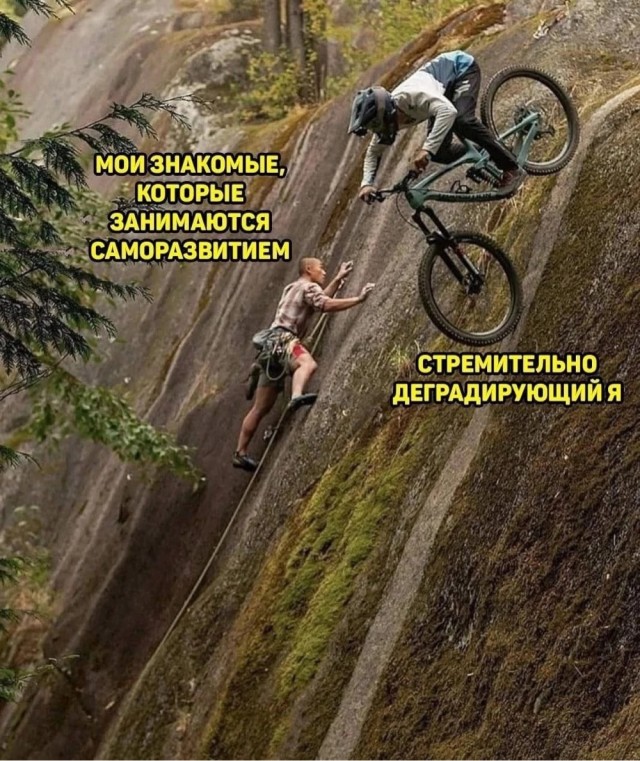 Так себе картинки 21.12.24