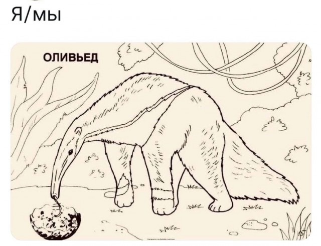 С меня картинки