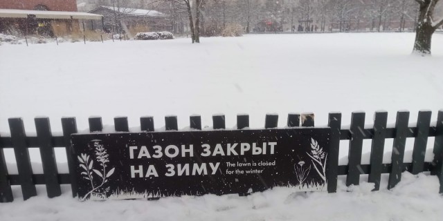 Фото с телефона
