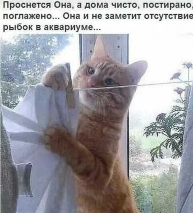Это не меня заперли с вами, это вас заперли со мной
