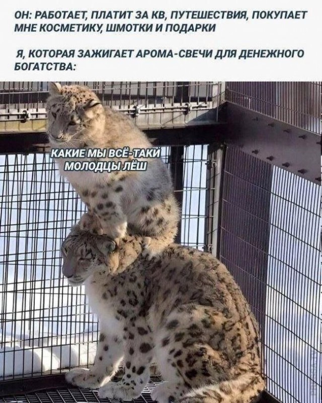 Веселые картинки в понедельник (17.03)