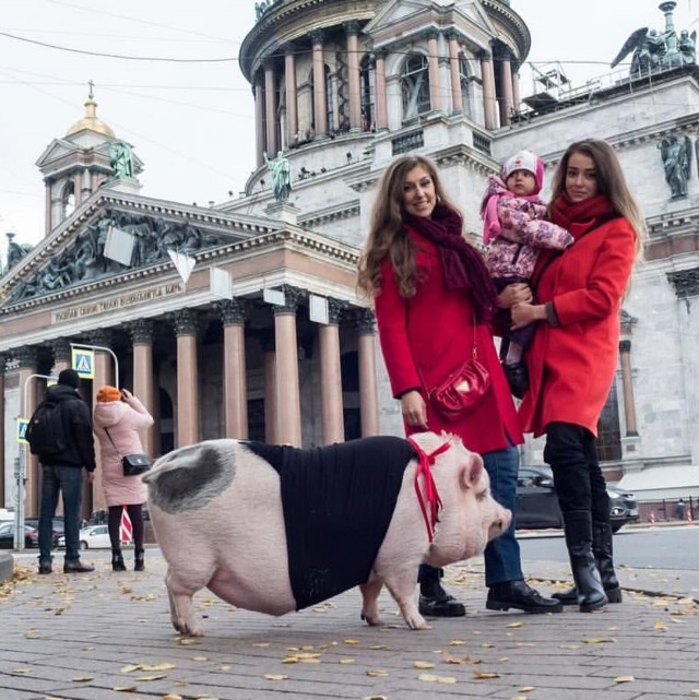 Главпродукт - самая паршивая тушёнка