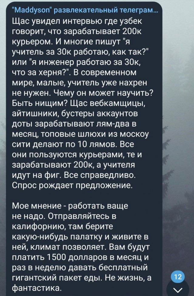Весьма грамотно написано, наверное учителя хорошие в школе были