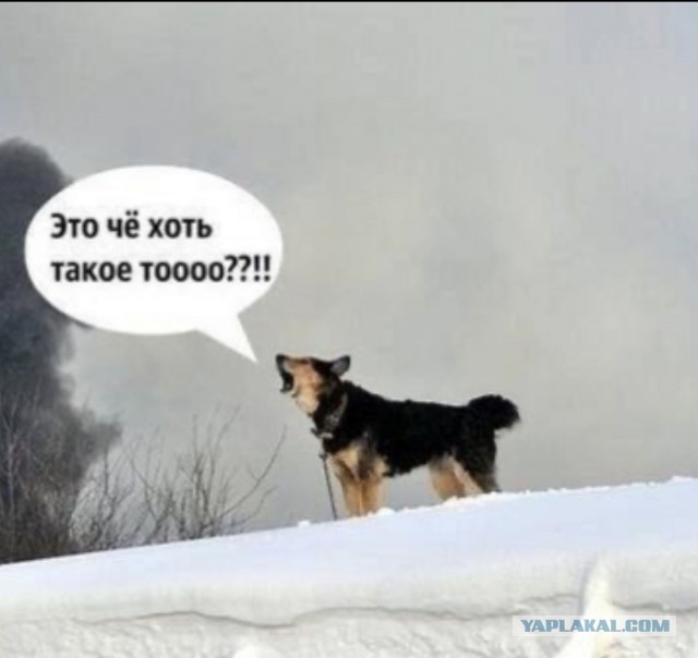 На самом деле вот для чего нужен был пакетик и ложечка