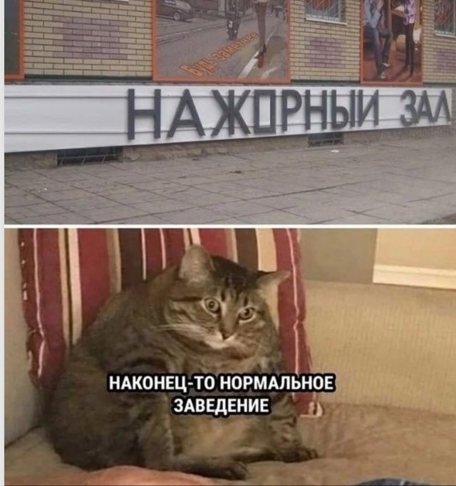 Завалялось тут случайно немного забавных картинок