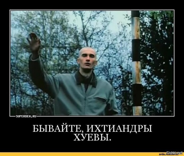На ПМЭФ заявили, что YouTube теряет популярность в России, уступив VKCO ВК и Rutube