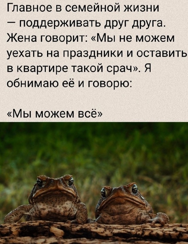 Так себе картинки 29.07.25