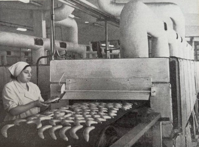 ​ Фотографии из прошлого нашей страны – 117