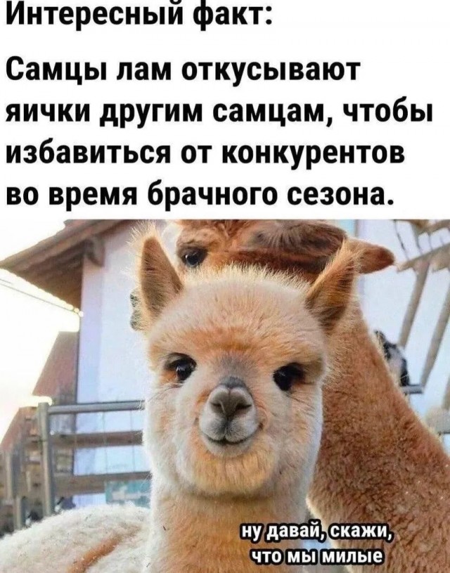 Маленькая пятница 10.09