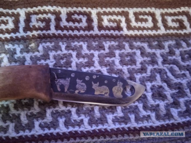 Кошачий нож