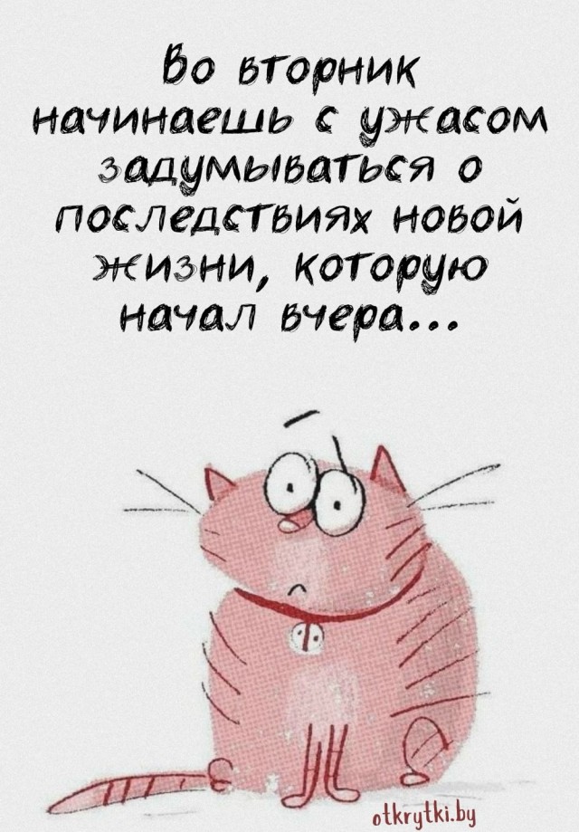 Вторник. Немного картинок