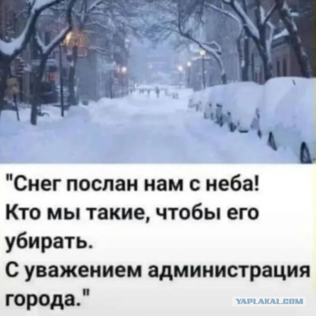 Где лопаты? В середине января неожиданно выпал снег, водятлы были не готовы