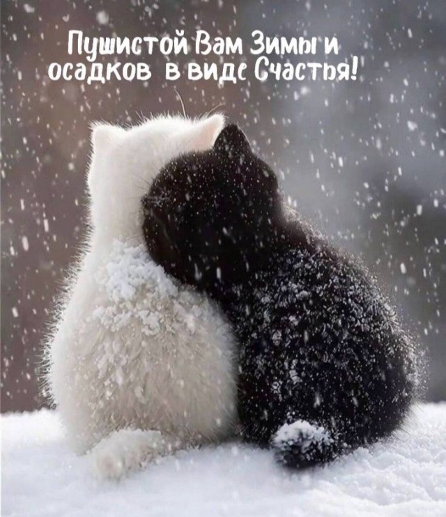 Прикольные и просто красивые картинки 27.02.2026