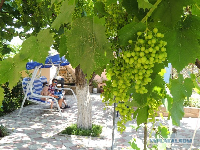 Как мы в Крым катались