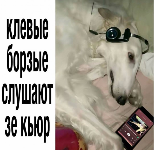 Веселое настроение в картинках (06.05.2026)