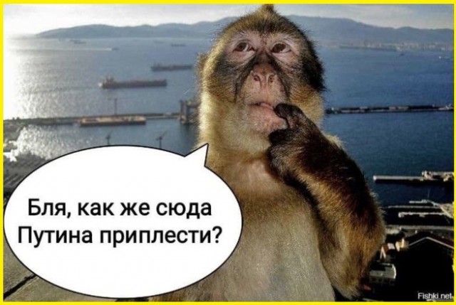 Компетентный руководитель...