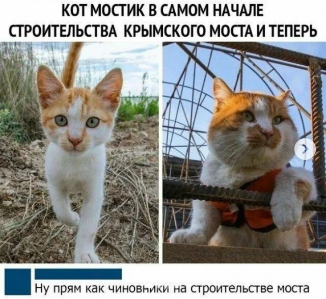 По поводу мостов в\на