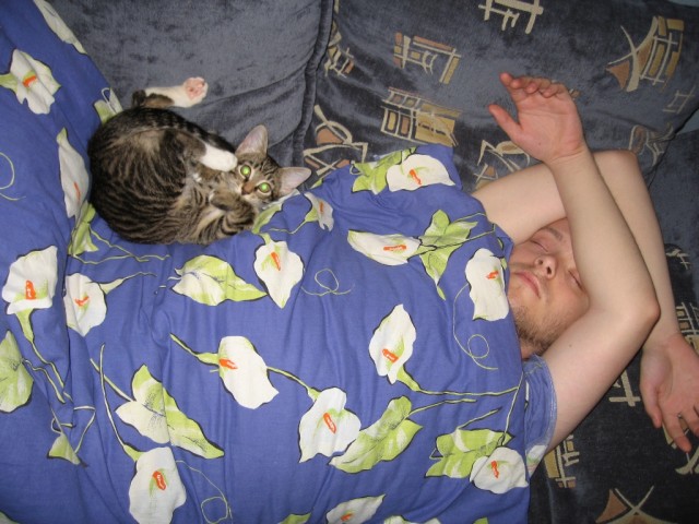 Котейка, который не знает как лежат котейки