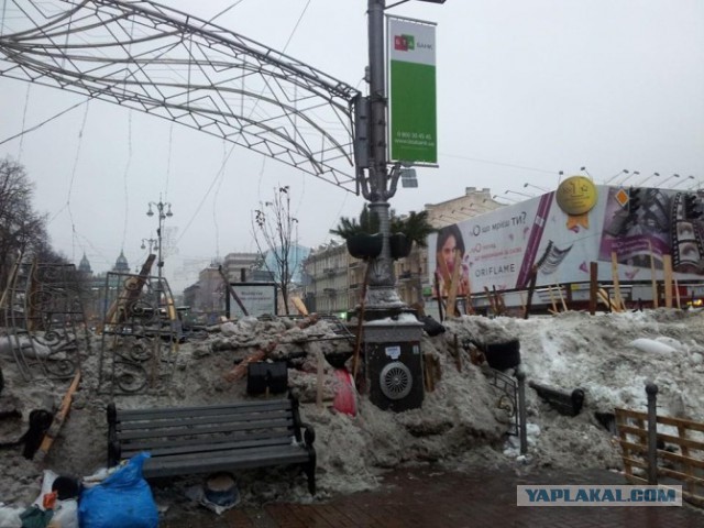Евромайдан -хорошо сказала!