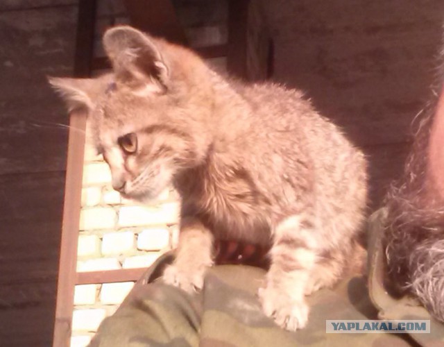 6-ой минометный взвод батальона "Заря"