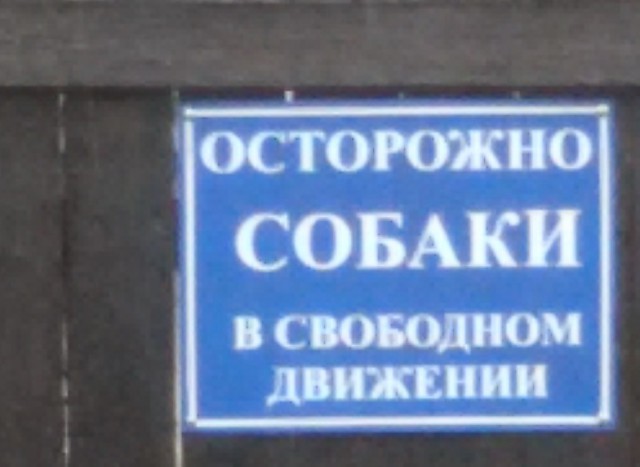 Таблички собачьи