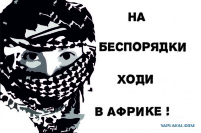 За кого голосовали? Выборы 2012